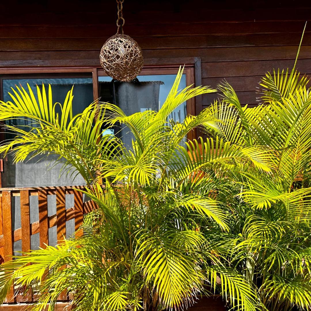 Ecoco Holbox - Ecochic - Cabanas De Madera - Holbox Retreat Exterior photo